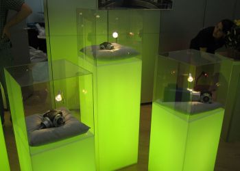 Abdeckhaube aus Acryl-/Plexiglas®