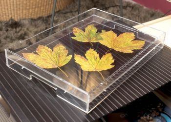 Fassungslos Tablett mit Motivwechsel